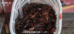 满脚分歧旅客